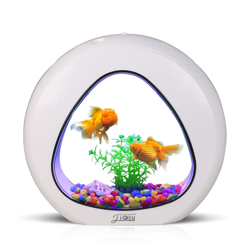 Aquarium Fish Delivery - 佳露クリエイティブデスクトップ水槽、小型観賞魚水槽、生態系水槽、アクリル製、卸売配送、ベタ用