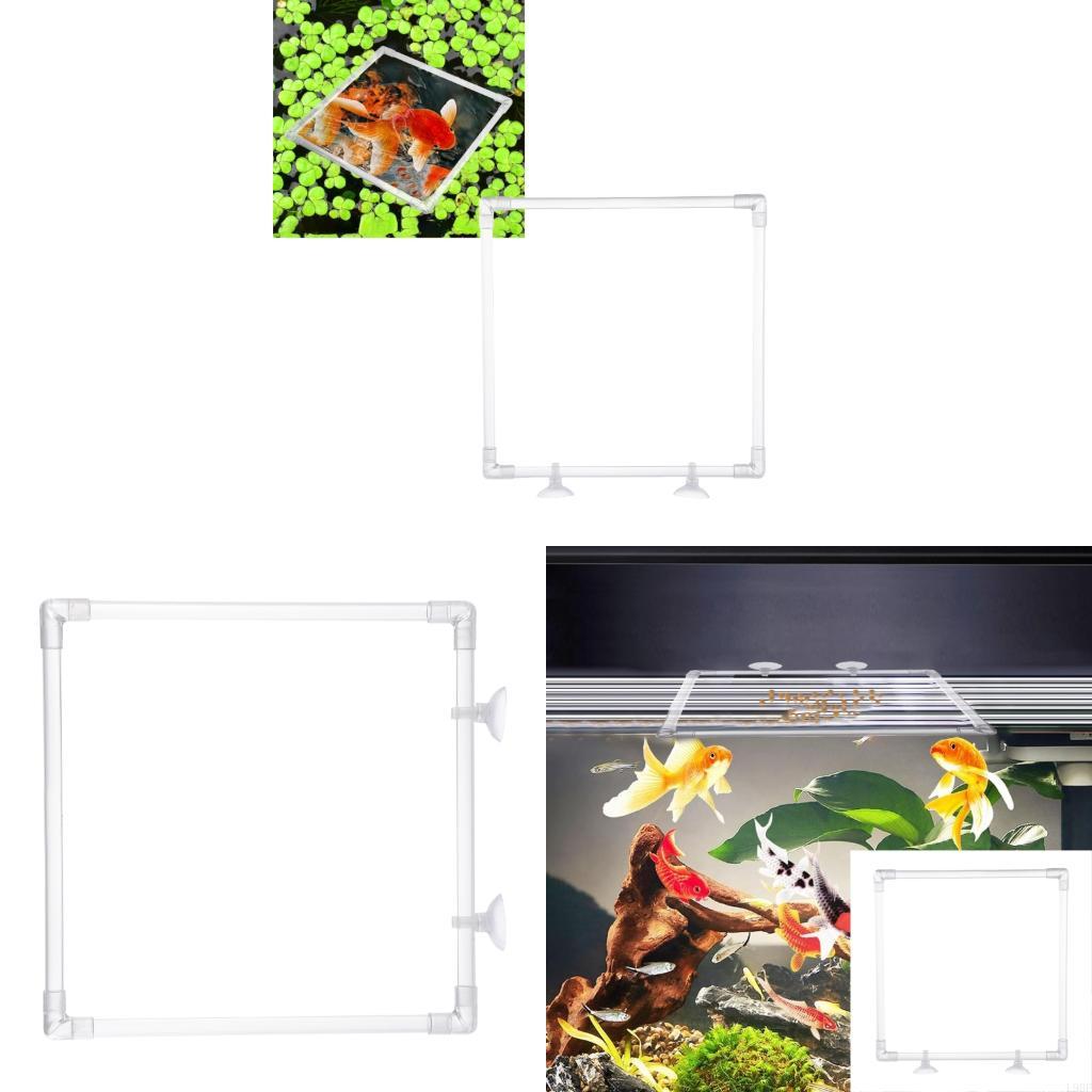 Aquarium Fish Food - L9BE ドリフト防止水族館フードディスペンサーアクリル給餌囲い給餌リング安全な吸盤アタッチメント付き簡単使用