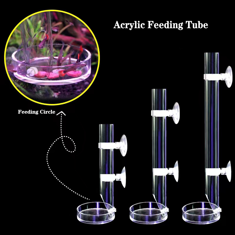 Aquarium Fish Food - 1個アクリル水族館フィーダチューブ皿透明水槽エビカタツムリエビ食品フィーダーボウル水族館付属品を供給
