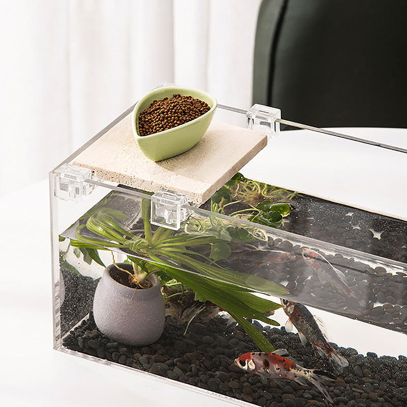 アクリル水槽カバーホルダー,透明クリップ,ブラケットクランプ - Aquarium Fish Real のレビューと価格