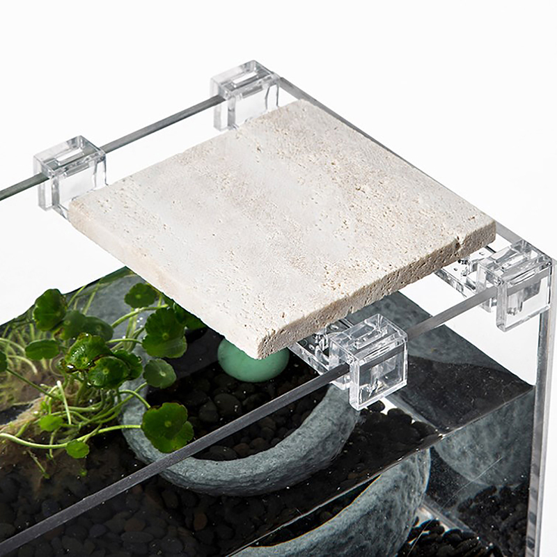 アクリル水槽カバーホルダー,透明クリップ,ブラケットクランプ - Aquarium Fish Real のレビューと価格