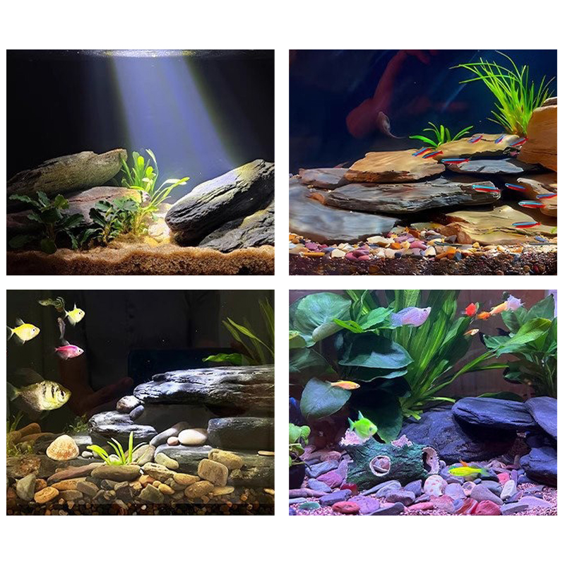 500/1000 グラム水槽造園石キットスレート岩石テラリウ - Aquarium Fish House のレビューと価格