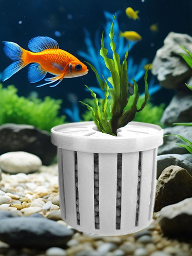 安定した水槽用植物カップ4個セット、水槽用植物ホルダーバスケ - Aquarium Fish Restaurant のレビューと価格