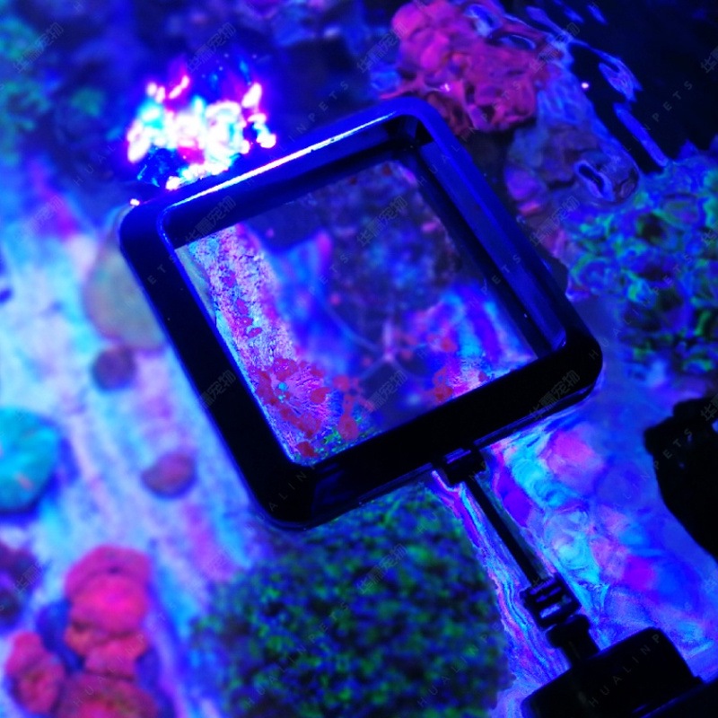 VASTOCEAN 磁気給餌リング 水槽用 浮遊防止 魚用餌 - Aquarium Fish Food のレビューと価格