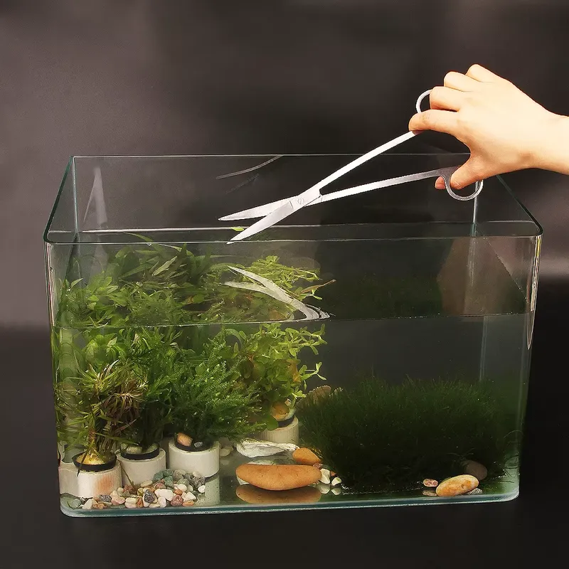 人気の水槽ツールキット、水槽アクセサリー、ギフトボックス付き - Aquarium Fish Popular のレビューと価格