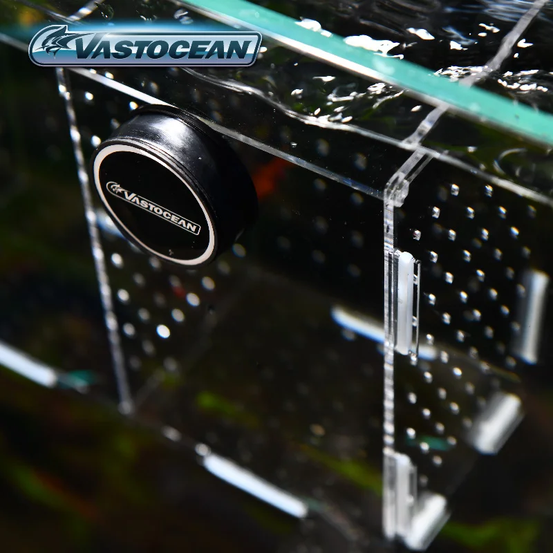 Vastocean-磁気コンビネーションアクリル水槽隔離ボッ - Aquarium Fish Real のレビューと価格