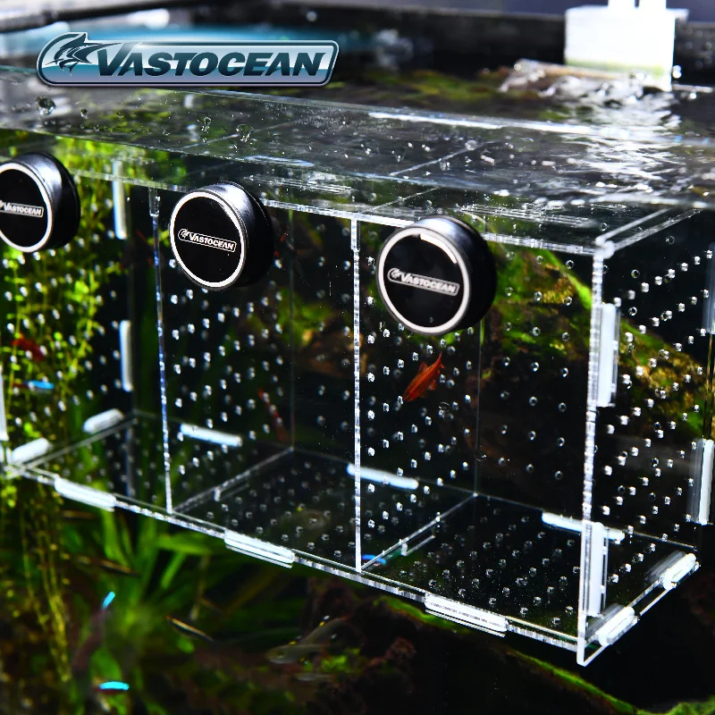 Vastocean-磁気コンビネーションアクリル水槽隔離ボッ - Aquarium Fish Real のレビューと価格