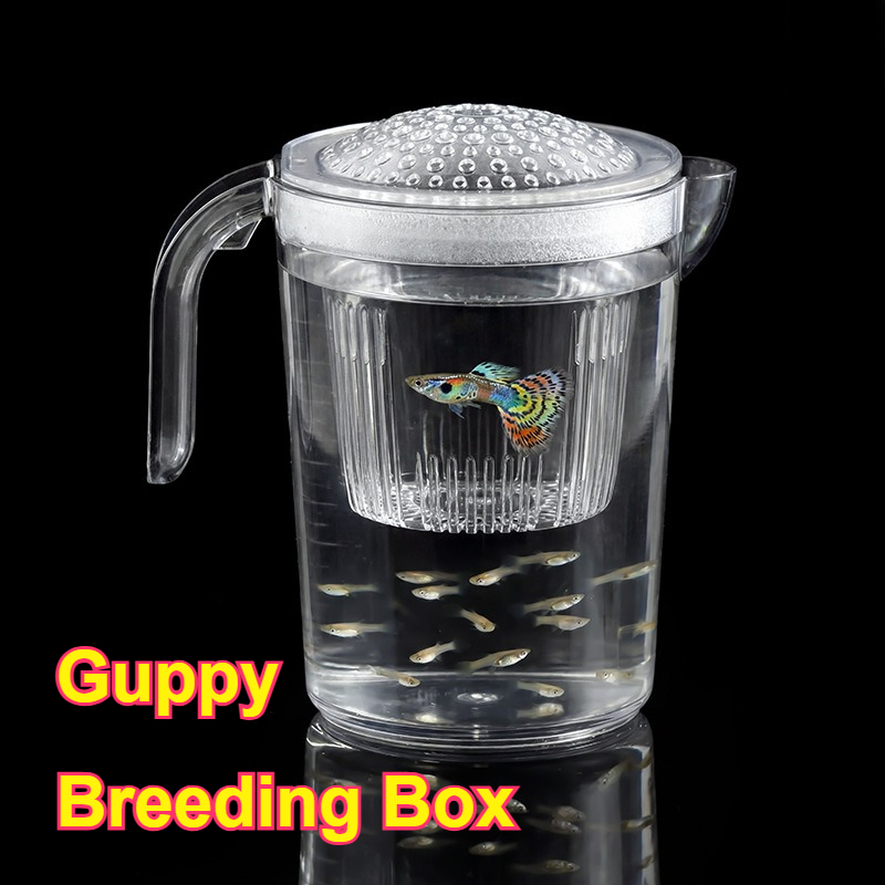 稚魚・小型グッピー繁殖カップ 餌やり用品 通気性のある水槽用 - Aquarium Fish Delivery のレビューと価格