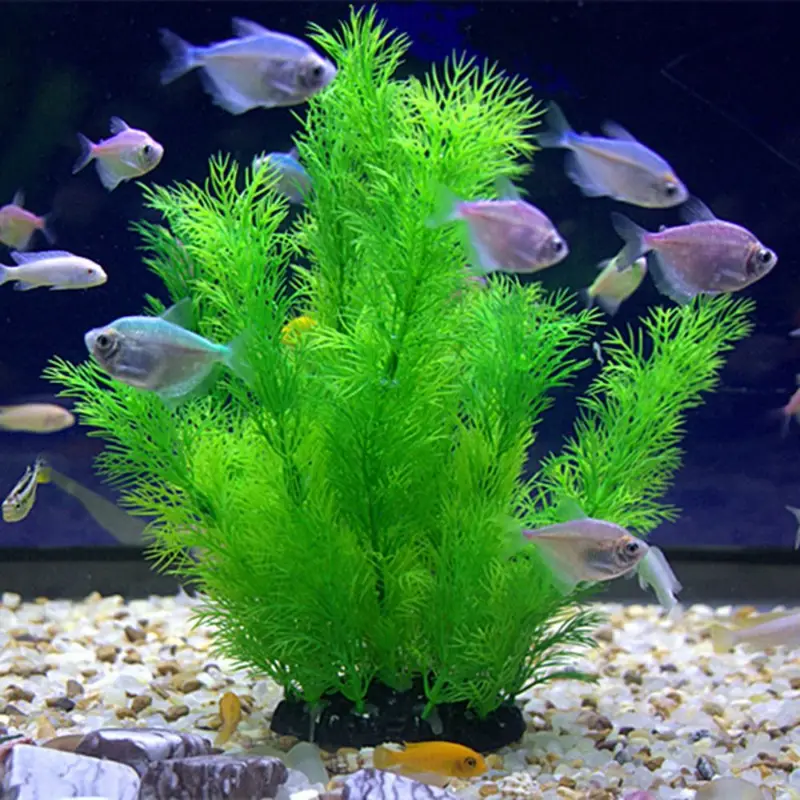 人工水族館の装飾植物水中水草水生プラスチック植物水槽水族館の - Aquarium Fish Artificial のレビューと価格