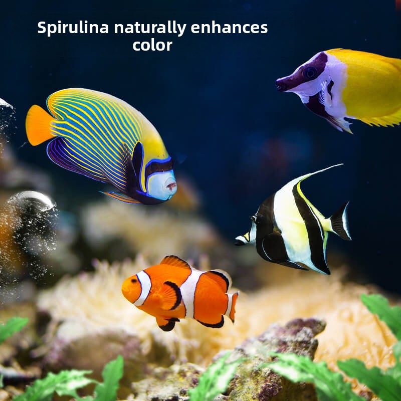 ディーラ クローフィッシュ＆タンフード |   すべての食肉 - Aquarium Fish Food のレビューと価格