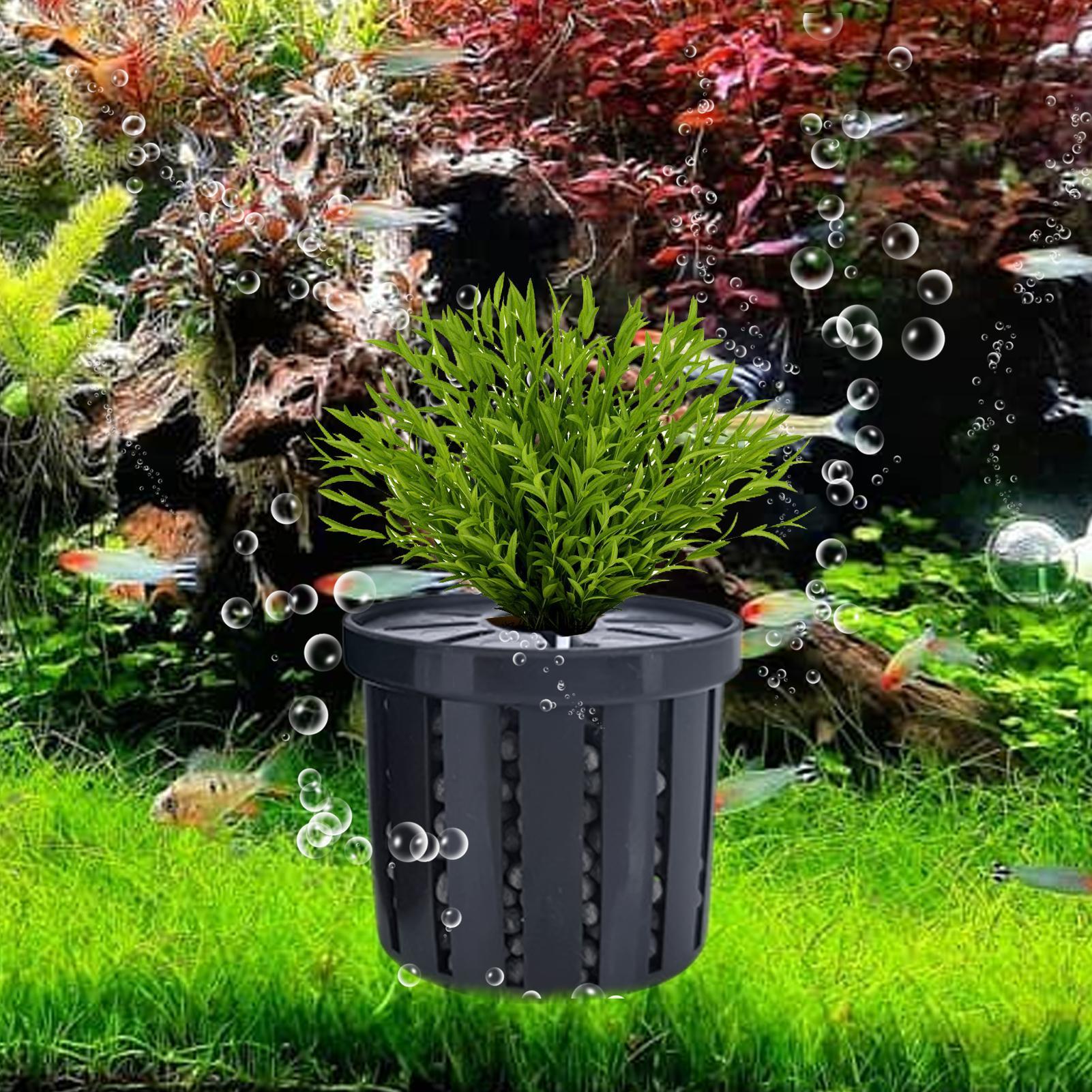 4個入り水槽植物ホルダーバスケット、安定した水槽植物カップ、 - Aquarium Fish Restaurant のレビューと価格