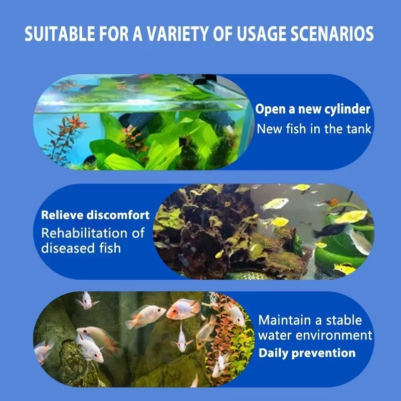 シケザン 魚病治療＆硝化細菌 |   淡水/海水用の抗炎症水 - Aquarium Fishing のレビューと価格