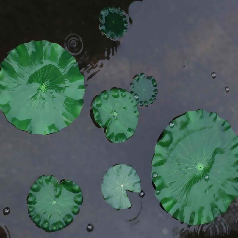2026年人工水蓮蓮の葉花なし池飾り水槽用浮き蓮の葉庭の魚タ - Aquarium Fish Artificial のレビューと価格