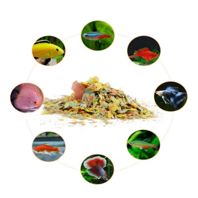 40g 魚用色素と美白飼料 高栄養熱帯魚成長促進 健康魚用フ - Fish Food Flake のレビューと価格