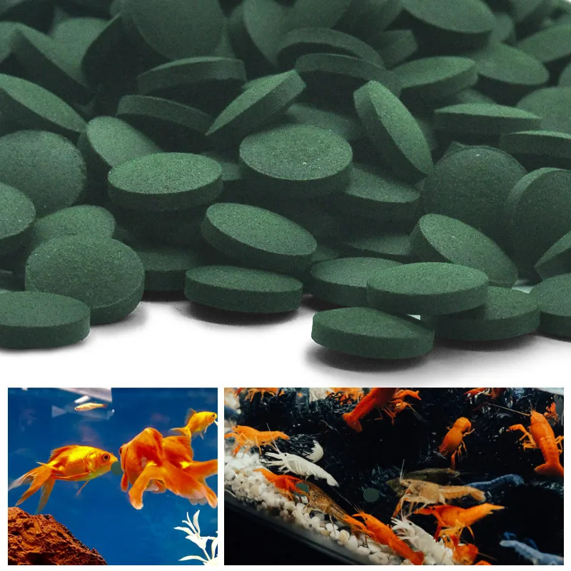 100/500/1000 個スピルリナフレークスピルリナナマ - Fish Food Flake のレビューと価格