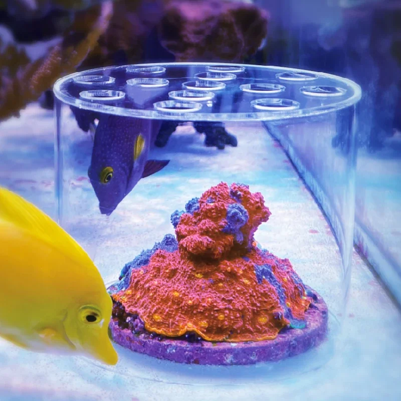ヴァストオーシャン水族館 アクリル製サンゴフィーダーフード  - Aquarium Fish Food のレビューと価格