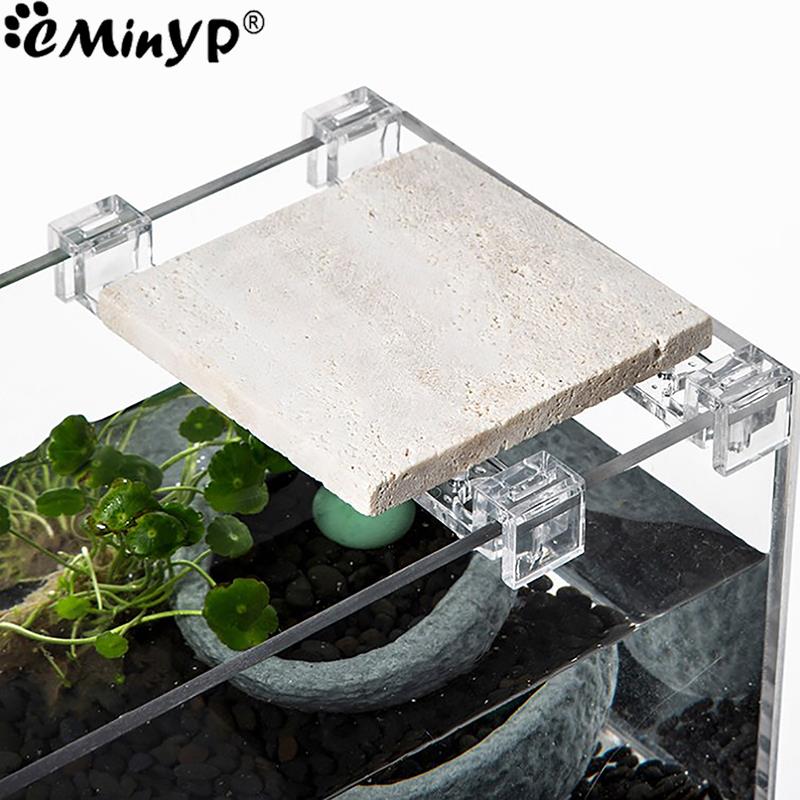 4 個の水槽アクリルクリップ 5.5 ミリメートル〜 15  - Aquarium Fish Real のレビューと価格