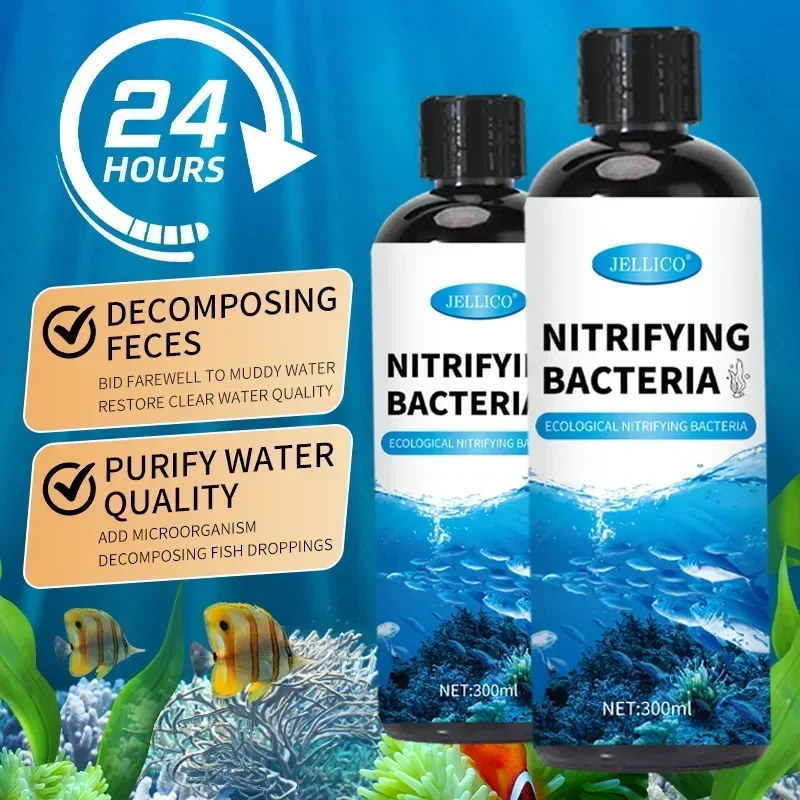 硝化菌液体水槽浄水器水族館養魚医療用品金魚鉢水処理製品 - Aquarium Fish House のレビューと価格