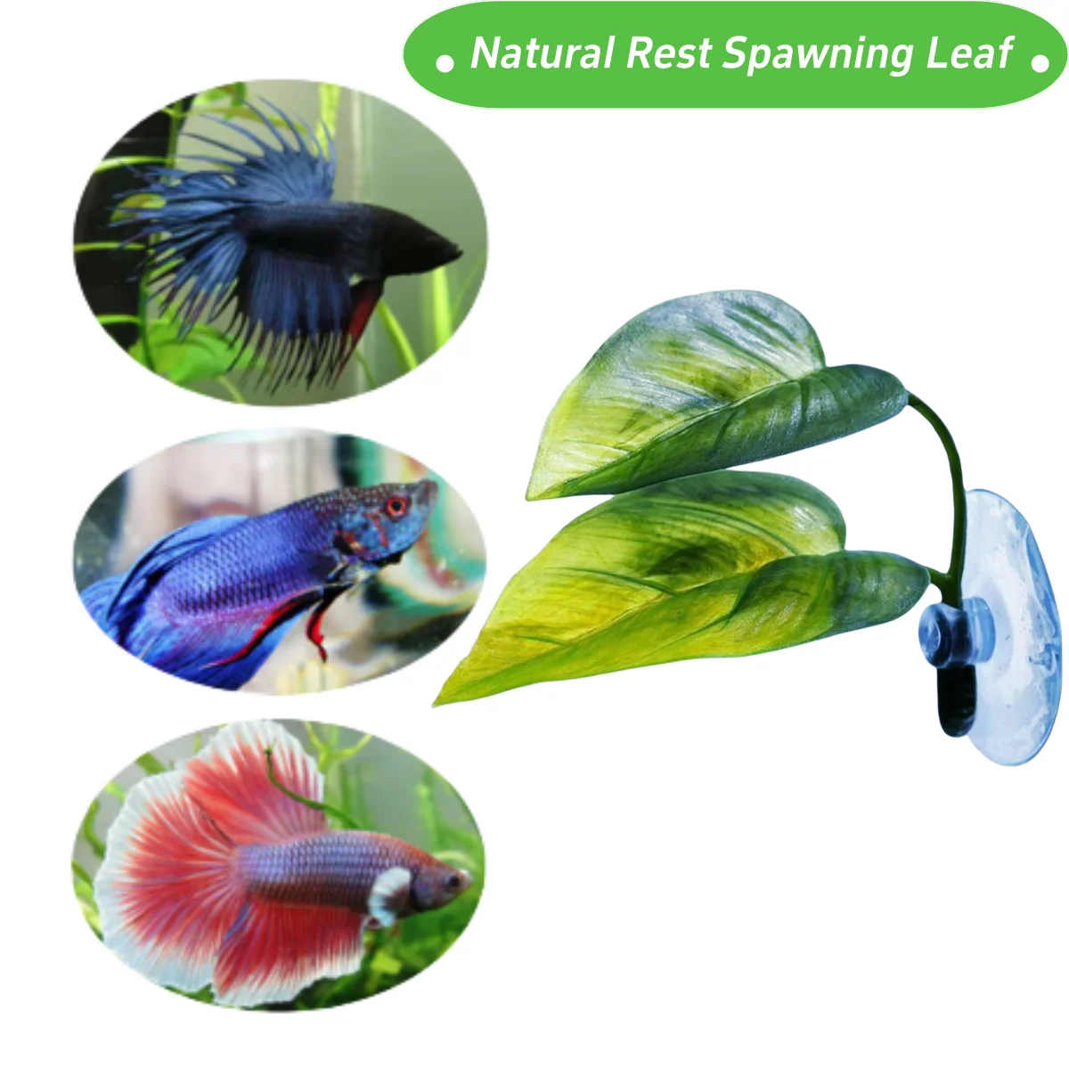 ペット水槽装飾 ベタ用 リラックス プレイプランツ 葉っぱ  - Aquarium Fish Artificial のレビューと価格