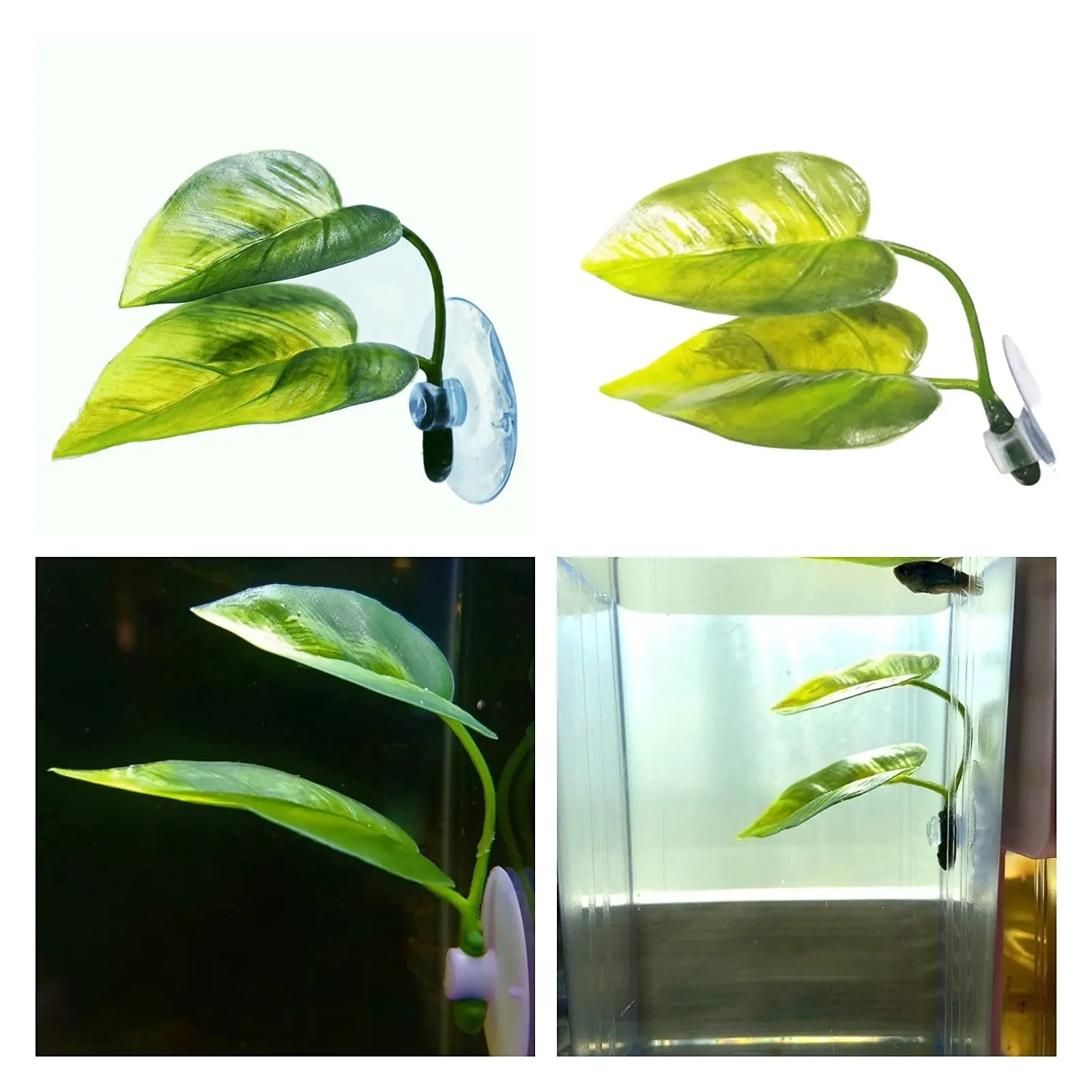 ペット水槽装飾 ベタ用 リラックス プレイプランツ 葉っぱ  - Aquarium Fish Artificial のレビューと価格