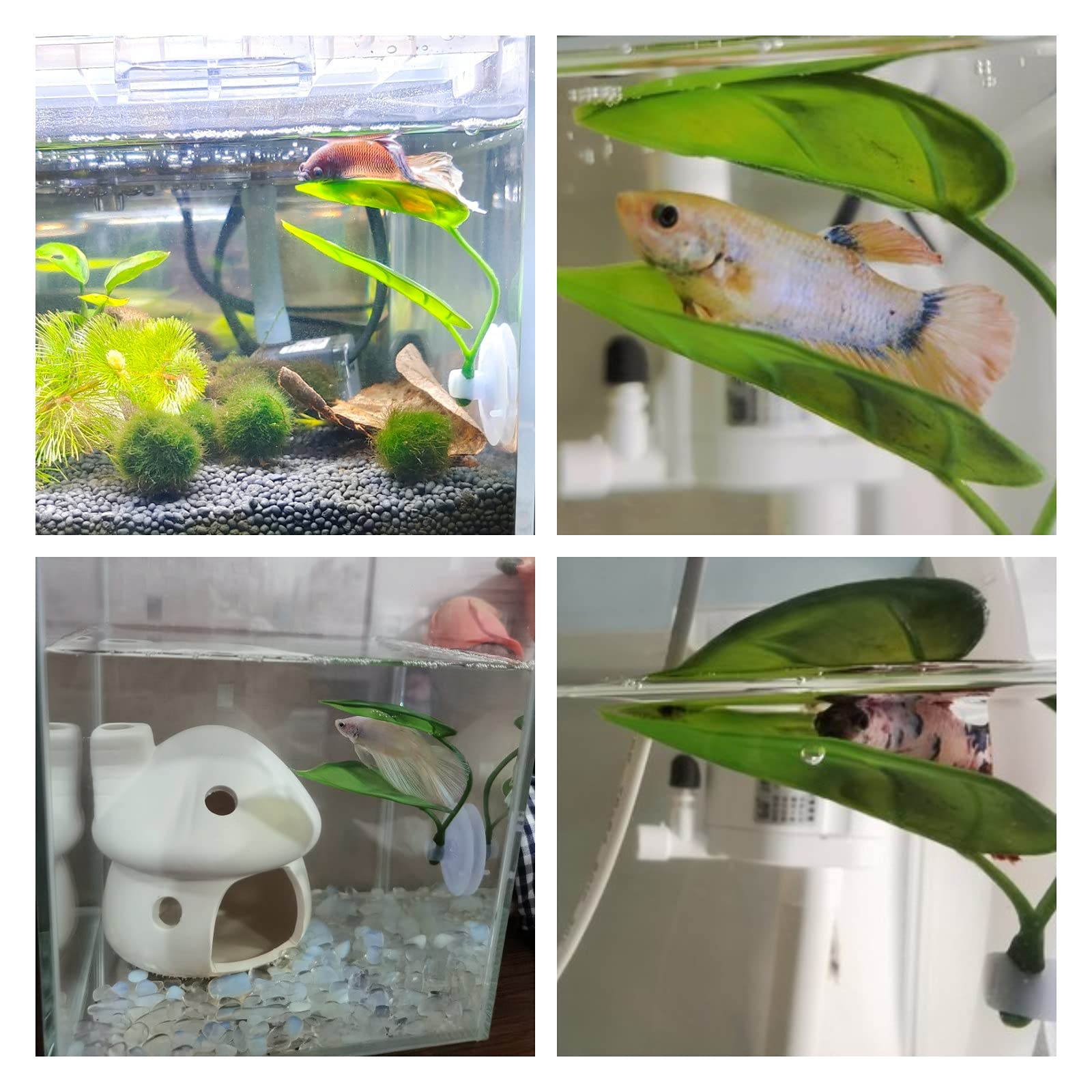 ペット水槽装飾 ベタ用 リラックス プレイプランツ 葉っぱ  - Aquarium Fish Artificial のレビューと価格