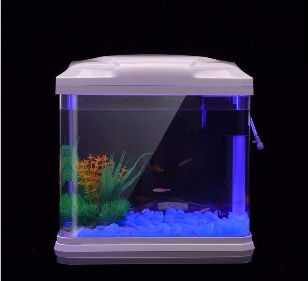 水槽岩グローブルー小石庭用水槽水族館植木鉢盆栽歩道私道 - Aquarium Fish House のレビューと価格