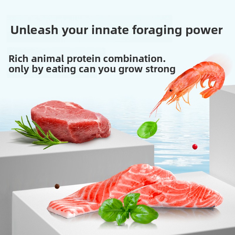 ディスカスフィッシュフード 専門的な小粒状顆粒 アンジェルフ - Aquarium Fish Food のレビューと価格