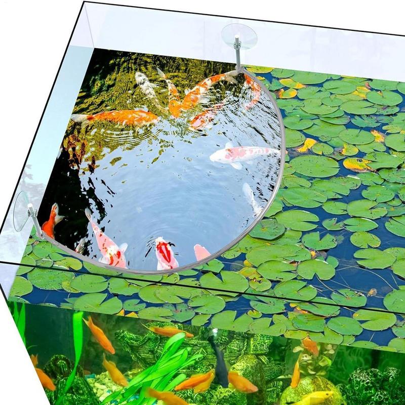 浮遊植物囲い魚の給餌リングは浮遊植物を分離して保護します給餌 - Aquarium Fish Real のレビューと価格