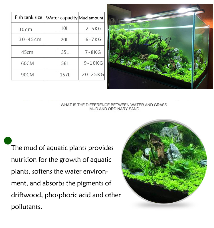 水族館植物の種子,水槽の素材,砂,土壌肥料,魚の手入れ,淡水 - Aquarium Fish House のレビューと価格