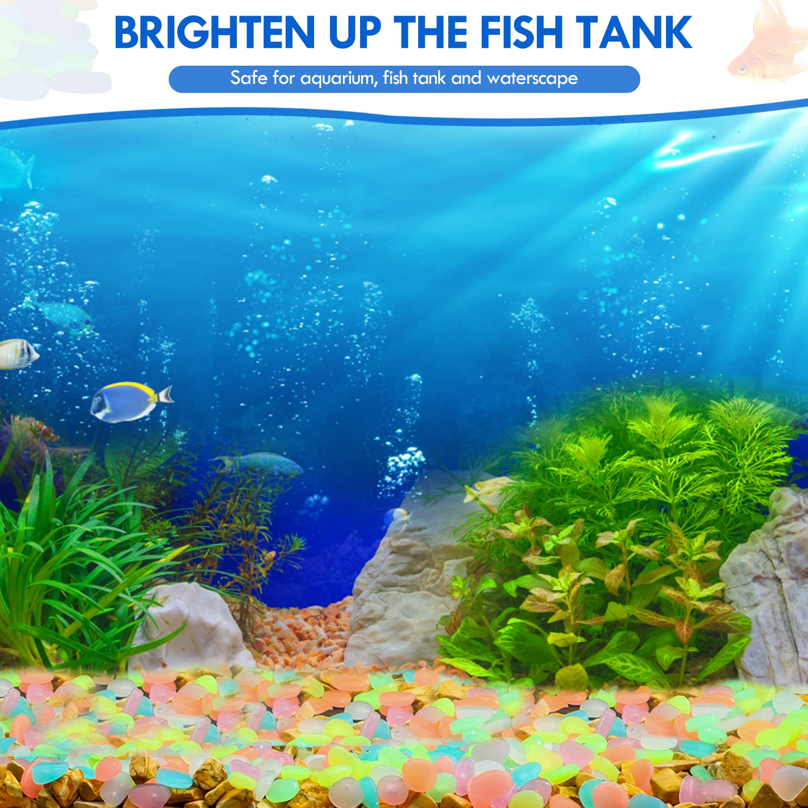 100 個暗闇で光る庭の小石歩道ガーデンテラス芝生庭パティオ - Aquarium Fish House のレビューと価格