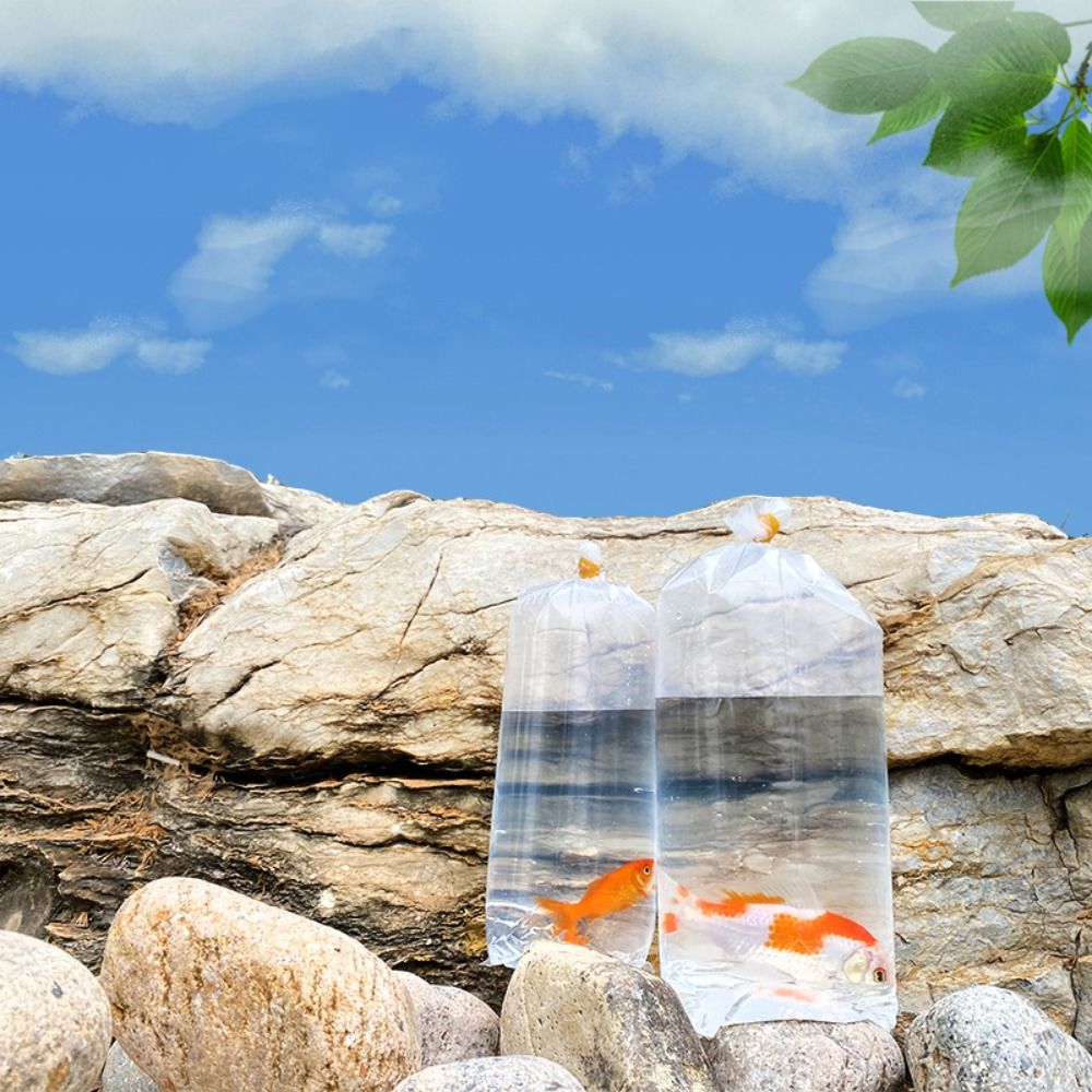 10 個のプラスチック水族館呼吸バッグ透明ポータブル魚配送イ - Aquarium Fish Delivery のレビューと価格